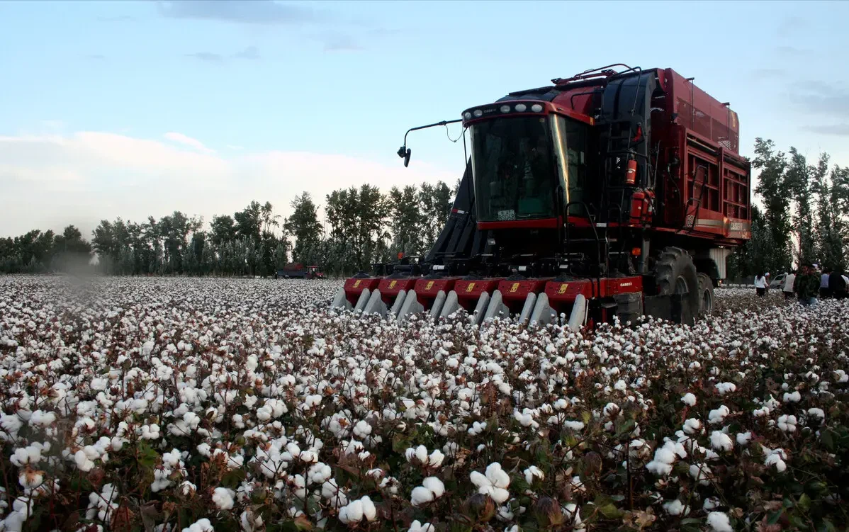 20241029162133 20241029162133